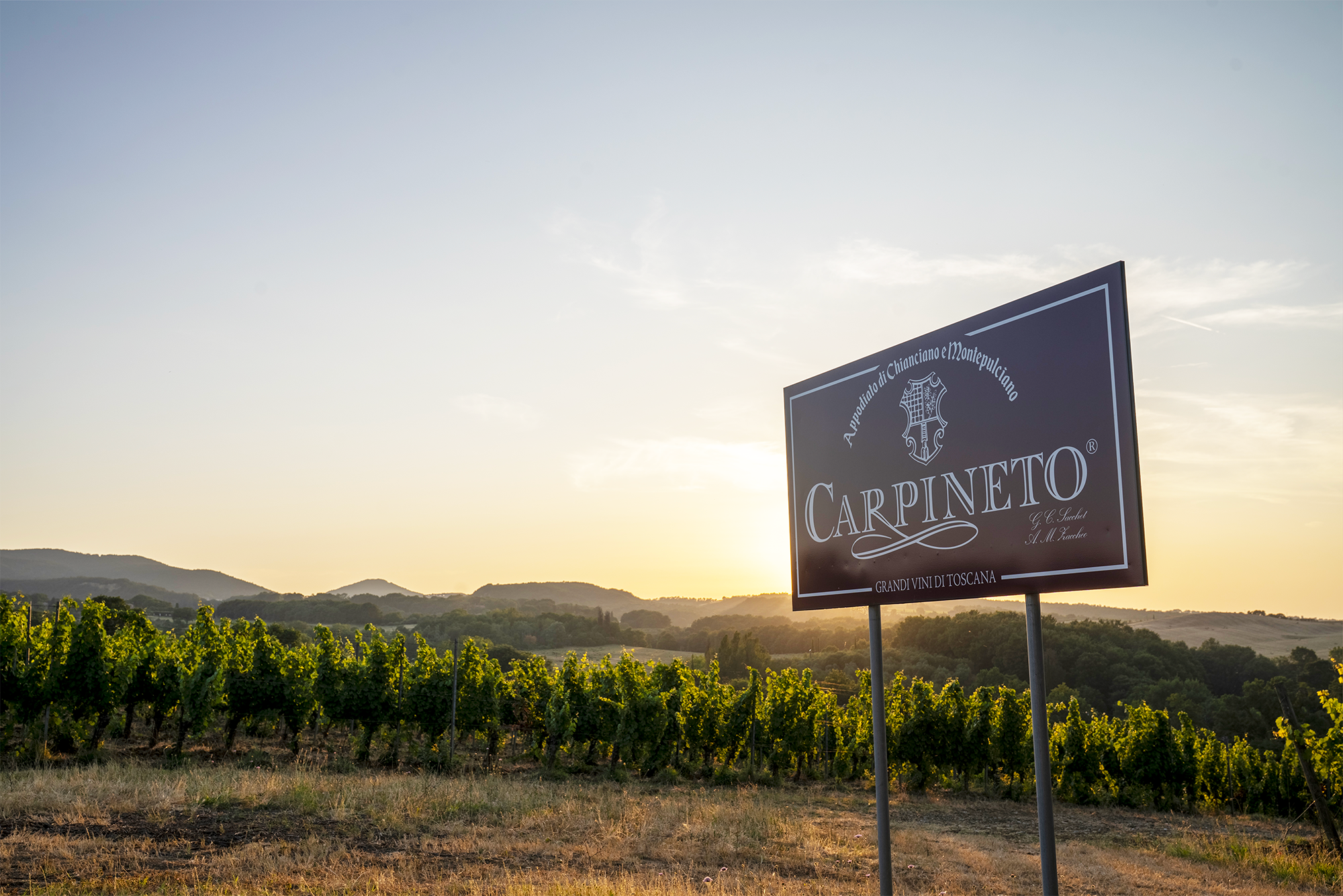Carpineto Farnito Brut Ros&egrave; and Chianti Castaldo Riserva 2020: new tuscan wines worth discovering

<br />
&nbsp;
